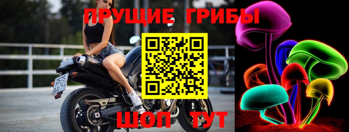 Павловский Посад  Псилоцибиновые грибы Magic Shrooms  Вход с VPN  Псилоцибиновые грибы Cubensis 